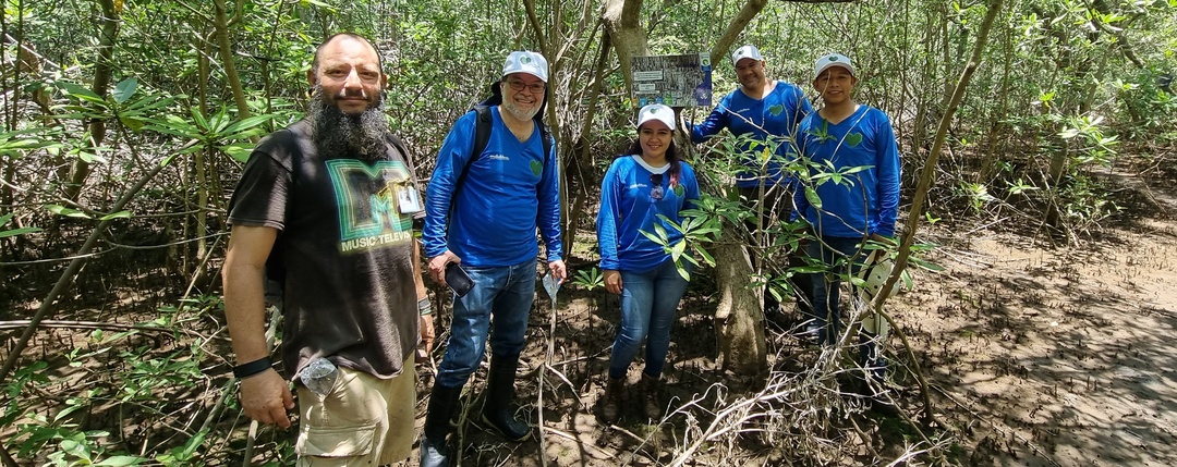 Sembramos +1500 manglares en Guatemala
